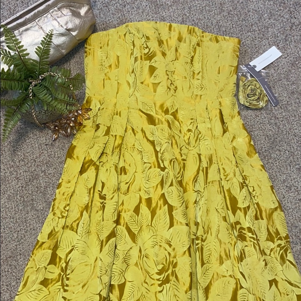 🆕 Anthropologie Jonquil Midi Dress